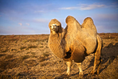 Privacy|泄露信息查询