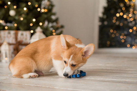 超严格违规词检测